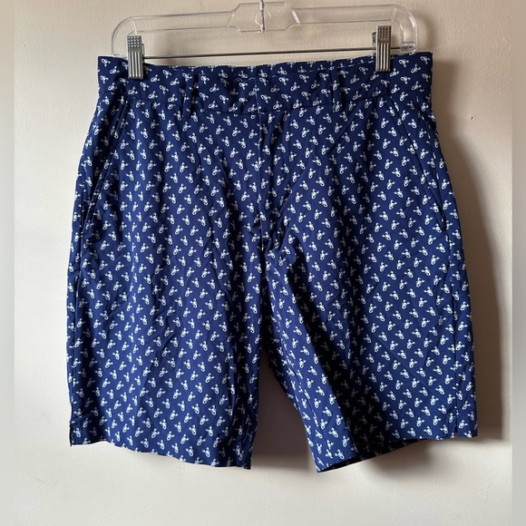 Polo Ralph Lauren Other - Polo Ralph Lauren Golf Swim Hybrid Shorts Scorpion Design